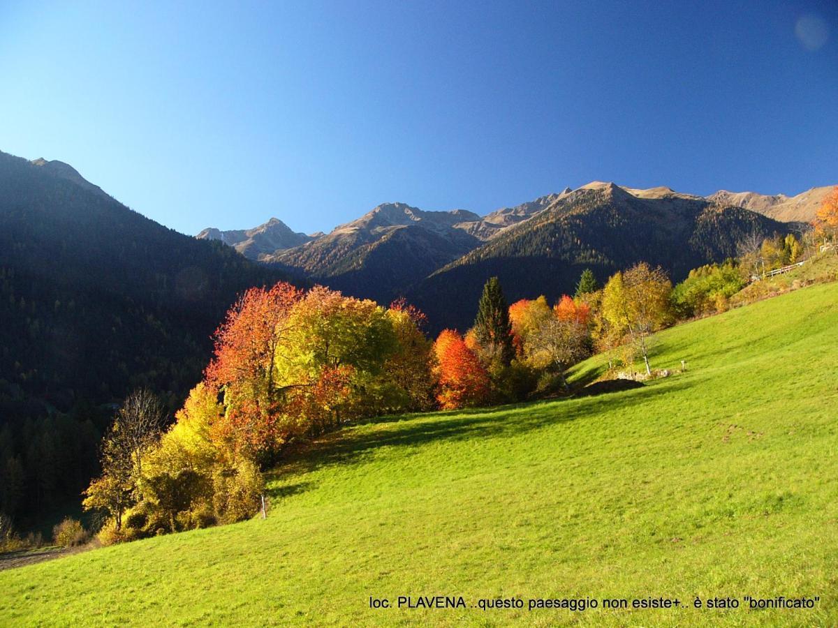 Alpen Garten Hotel Margherita Rumo Extérieur photo